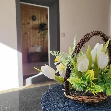 Up To 7 Guests *